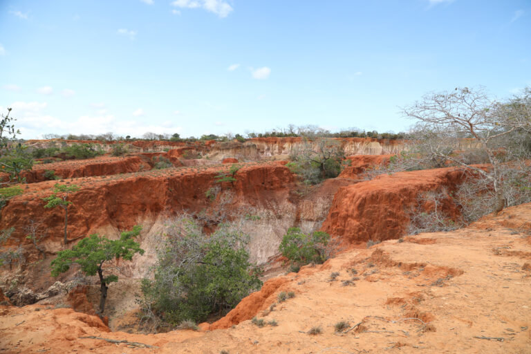 Kenya Malindi Hell's Kitchen Canyon Marafa
