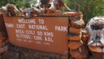 Kenya Tsavo National Park