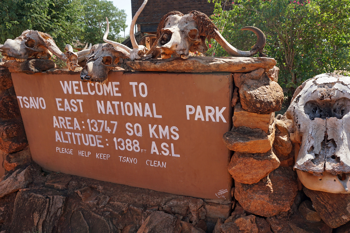 Kenya Tsavo National Park
